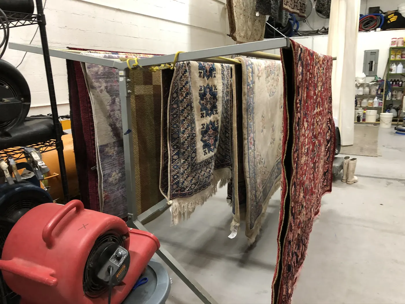 Washed rugs drying on air movers in the controlled drying room