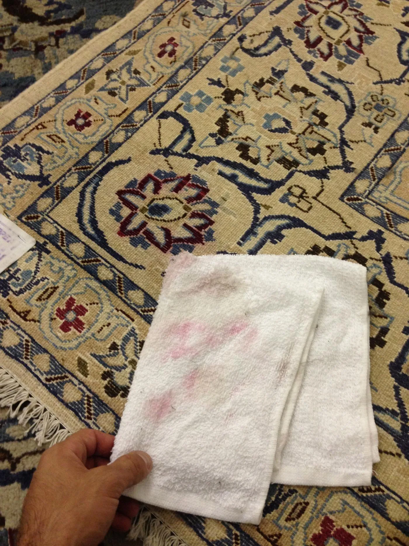 A dye-stability check run on the corner of a rug at intake
