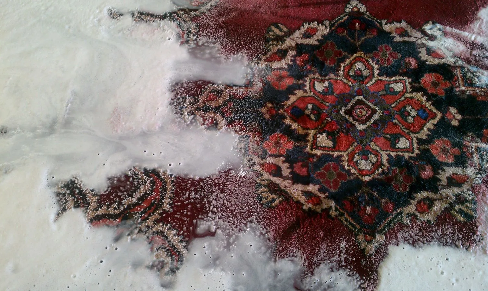 A rug being washed with pH shampoo, suds worked across the pile
